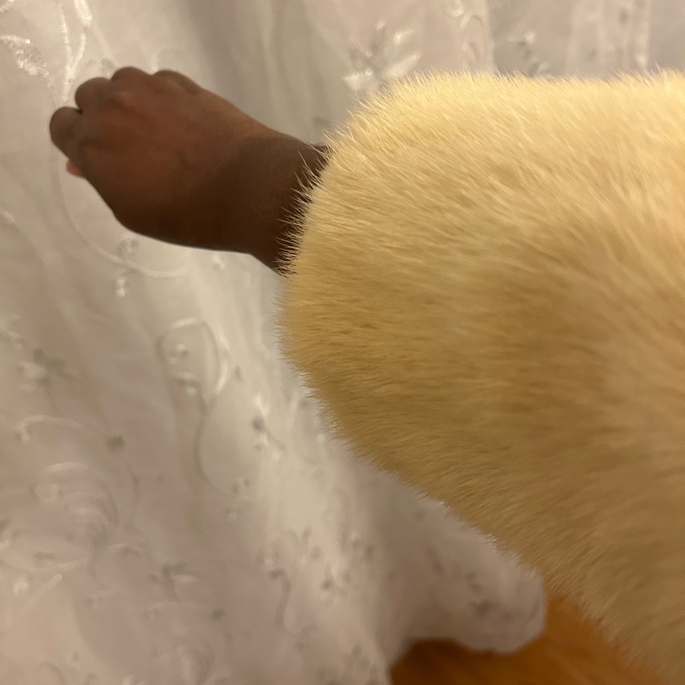 Elegant Beige Fur Coat - Picture 11 of 11